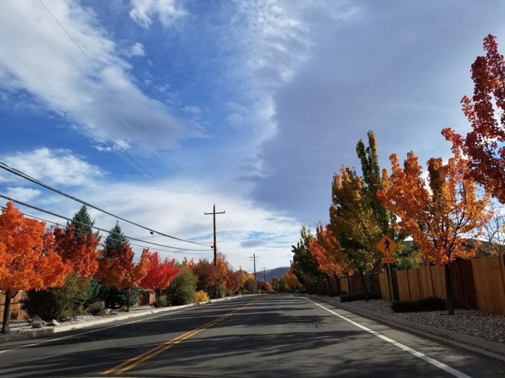 Fall colors in Reno