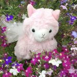 pink alpaca
